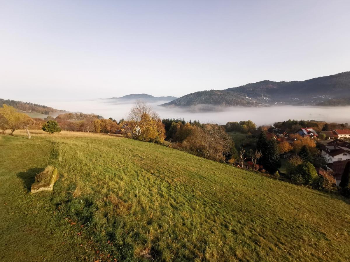 Haus Am Berg Mit Wellnessbereich, Bar Und Panorama Bühlertal Exterior foto