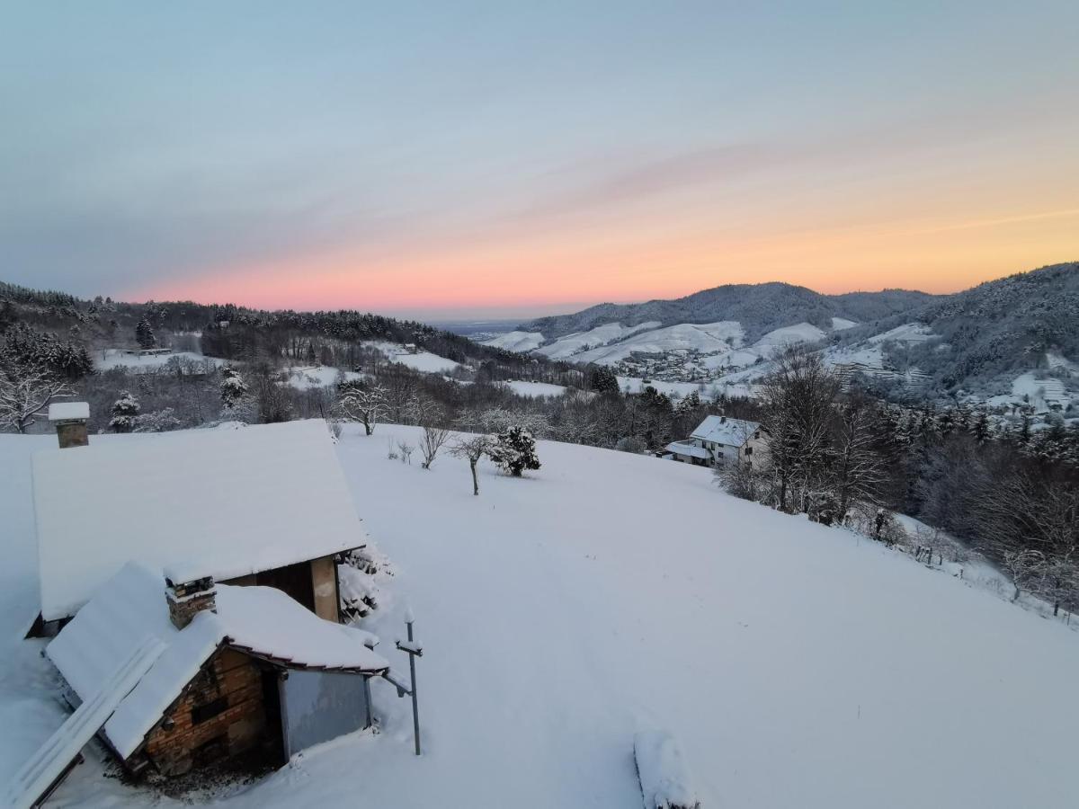 Haus Am Berg Mit Wellnessbereich, Bar Und Panorama Bühlertal Exterior foto